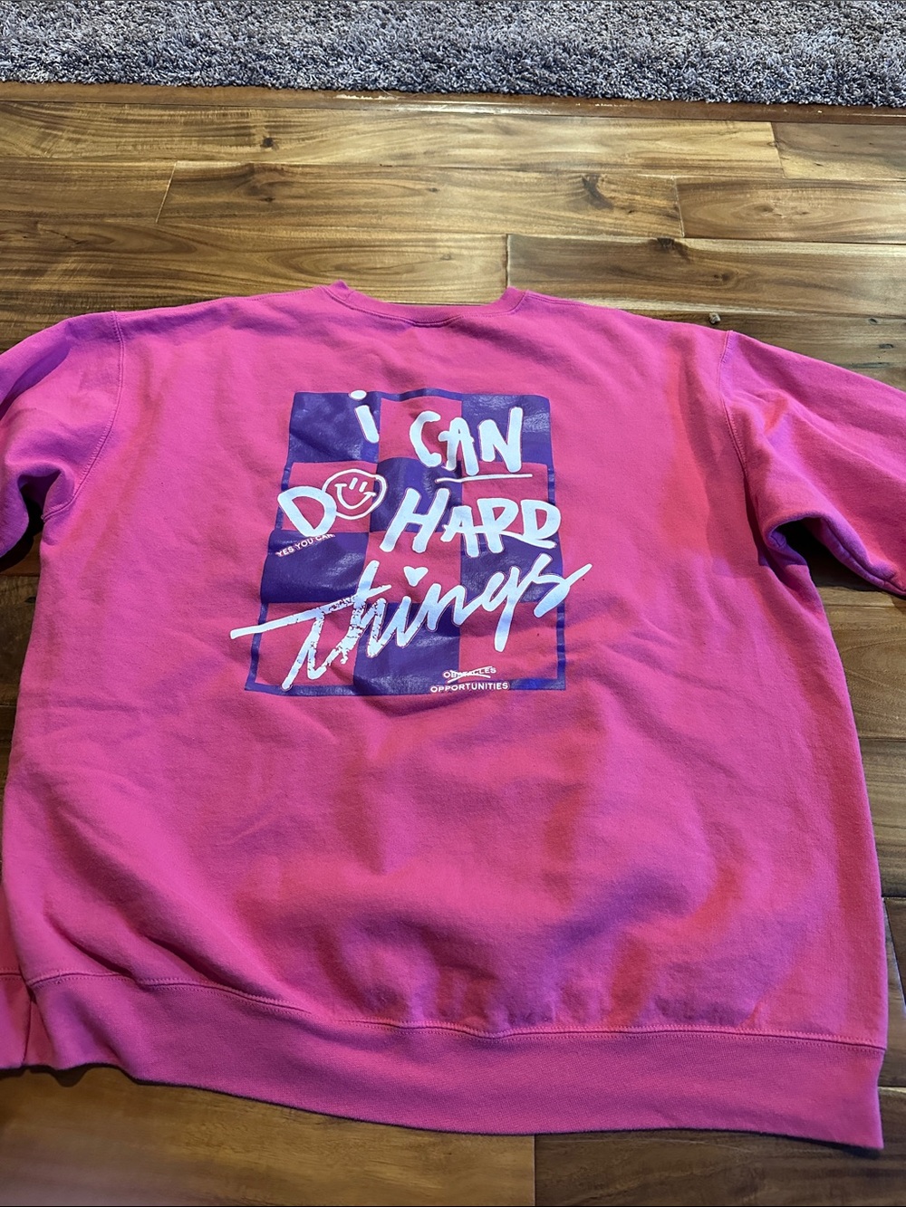 Tia Bee Stokes Pink Graphic Crewneck Sweatshirt with Bold Back Print